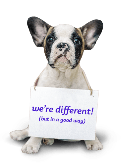 OliveDifference-header-dog